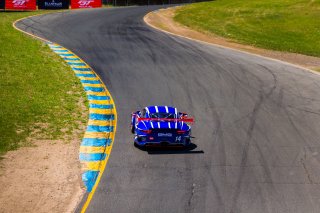 #14 Porsche 911 GT3 R (991) of James Sofronas and Dirk Werner 

SRO at Sonoma Raceway, Sonoma CA | Fabian Lagunas/SRO