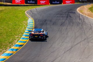 #91 Porsche 911 GT3 R (991) of Anthony Imperato and Matt Campbell 

SRO at Sonoma Raceway, Sonoma CA | Fabian Lagunas/SRO