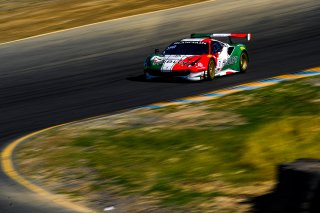 #7 Ferrari 488 GT3 of Martin Fuentes and Caeser Bacarella 

SRO at Sonoma Raceway, Sonoma CA | Gavin Baker/SRO
