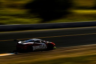 #19 Ferrari 488 GT3 of Christopher Cagnazzi and Andy Lally 

SRO at Sonoma Raceway, Sonoma CA | Gavin Baker/SRO

