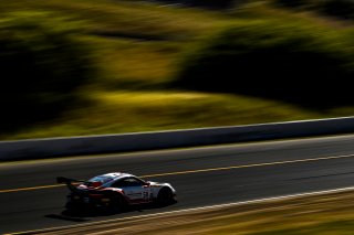 #58 Porsche 911 GT3 R (991) of Patrick Long and Scott Hargrove 

SRO at Sonoma Raceway, Sonoma CA | Gavin Baker/SRO
