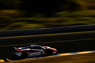 #99 Ferrari 488 GT3 of Alfred Caiola and Matt Plumb 

SRO at Sonoma Raceway, Sonoma CA | Gavin Baker/SRO
