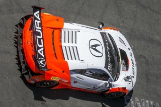 #43, RealTime Racing, Acura NSX, Bret Curtis and Dane Cameron, SRO at Sonoma Raceway, Sonoma CA
 | Brian Cleary/SRO
