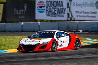 #43 Acura NSX of Mike Headlund and Dane Cameron 

SRO at Sonoma Raceway, Sonoma CA | Fabian Lagunas/SRO