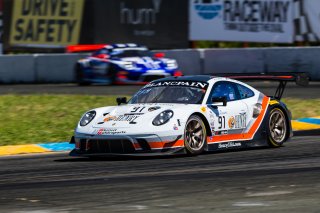 #91 Porsche 911 GT3 R (991) of Anthony Imperato and Matt Campbell 

SRO at Sonoma Raceway, Sonoma CA | Fabian Lagunas/SRO