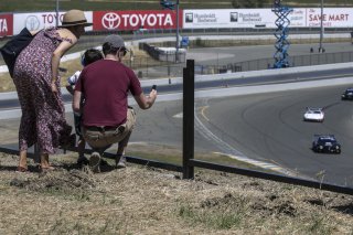 fans

SRO at Sonoma Raceway, Sonoma CA                  | Brian Cleary/SRO
