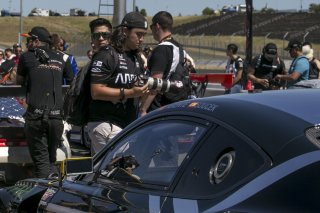 Fan walk

SRO at Sonoma Raceway, Sonoma CA              | Brian Cleary/SRO
