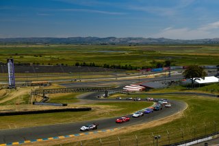 #91 Porsche 911 GT3 R (991) of Anthony Imperato and Matt Campbell 

SRO at Sonoma Raceway, Sonoma CA | Gavin Baker/SRO
