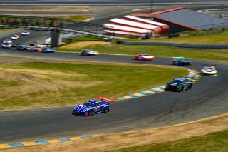 #14 Porsche 911 GT3 R (991) of James Sofronas and Dirk Werner 

SRO at Sonoma Raceway, Sonoma CA | Gavin Baker/SRO
