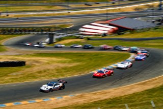 #91 Porsche 911 GT3 R (991) of Anthony Imperato and Matt Campbell 

SRO at Sonoma Raceway, Sonoma CA | Gavin Baker/SRO
