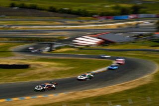 #22 Porsche 911 GT3 R (991) of Michael De Quesada and Daniel Morad 

SRO at Sonoma Raceway, Sonoma CA | Gavin Baker/SRO
