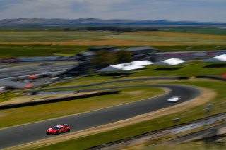 #61 Ferrari 488 GT3 of Miguel Molina and Toni Vilander 

SRO at Sonoma Raceway, Sonoma CA | Gavin Baker/SRO
