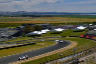 #87 BMW F13 M6 GT3 of Henry Schmitt and Gregory Liefooghe 

SRO at Sonoma Raceway, Sonoma CA | Gavin Baker/SRO
