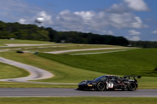 #31 GT3 Am, TR3 Racing, Bill Sweedler, John Megrue, Ferrari 488 GT3, 2020 SRO Motorsports Group - VIRginia International Raceway, Alton VA
 | SRO Motorsports Group