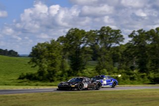 #31 GT3 Am, TR3 Racing, Bill Sweedler, John Megrue, Ferrari 488 GT3, 2020 SRO Motorsports Group - VIRginia International Raceway, Alton VA
 | SRO Motorsports Group
