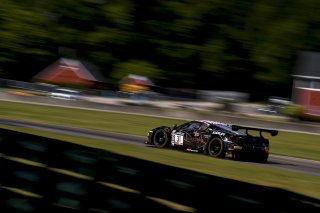 #31 GT3 Am, TR3 Racing, Bill Sweedler, John Megrue, Ferrari 488 GT3, 2020 SRO Motorsports Group - VIRginia International Raceway, Alton VA
 | SRO Motorsports Group