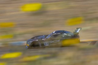 #63 Mercedes-AMG GT3 of David Askew and Ryan Dalziel, DXDT Racing, GT3 Pro-Am, 2020 SRO Motorsports Group - Sonoma Raceway, Sonoma CA
 | Brian Cleary/SRO  