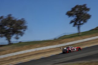 #04 Mercedes-AMG GT3 of George Kurtz and Colin Braun, DXDT Racing, GT3 Pro-Am, 2020 SRO Motorsports Group - Sonoma Raceway, Sonoma CA
 | Brian Cleary/SRO  