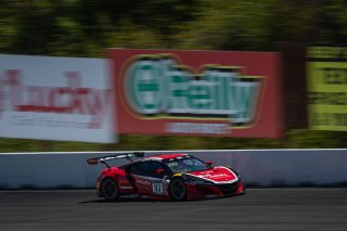 #93 Acura NSX GT3 of Shelby Blackstock and Trent Hindman, Racers Edge Motorsports, GT3 Pro-Am, 2020 SRO Motorsports Group - Sonoma Raceway, Sonoma CA
 | Brian Cleary                                             