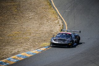 #24 Ferrari 488 GT3 of Ziad Ghondour and Jeff Segal, TR3 Racing, GT3 Pro-Am, 2020 SRO Motorsports Group - Sonoma Raceway, Sonoma CA
 | Brian Cleary    