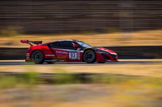 #93 Acura NSX GT3 of Shelby Blackstock and Trent Hindman, Racers Edge Motorsports, GT3 Pro-Am, 2020 SRO Motorsports Group - Sonoma Raceway, Sonoma CA
 | Brian Cleary      