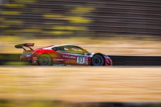 #93 Acura NSX GT3 of Shelby Blackstock and Trent Hindman, Racers Edge Motorsports, GT3 Pro-Am, 2020 SRO Motorsports Group - Sonoma Raceway, Sonoma CA
 | Brian Cleary      