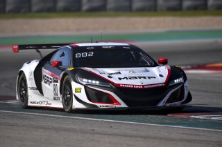 #80 Acura NSX GT3 of Ziad Ghandour and Kyle Marcelli, Racers Edge Motorsports, GT3 Pro-Am,     
2020 SRO Motorsports Group - COTA2, Austin TX
Photographer: Gavin Baker/SRO | &copy; 2020 Gavin Baker
