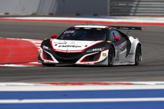 #80 Acura NSX GT3 of Ziad Ghandour and Kyle Marcelli, Racers Edge Motorsports, GT3 Pro-Am,     
2020 SRO Motorsports Group - COTA2, Austin TX
Photographer: Gavin Baker/SRO | &copy; 2020 Gavin Baker
