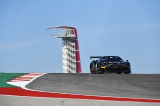 #31 GT3 Pro-Am, TR3 Racing, Ziad Ghondour, Matteo Cressoni, Ferrari 488 GT3  
2020 SRO Motorsports Group - Circuit of the Americas, Austin TX
Photographer: Gavin Baker/SRO | 
