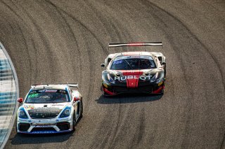 #17 Porsche 718 Cayman GT4 CS MR of Dr. James Rapport, Derek DeBoer, and Andy Lally, TRG-The Racers Group, GT4, SRO, Indianapolis Motor Speedway, Indianapolis, IN, September 2020.
 | Regis Lefebure/SRO                                       