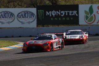 #04 Mercedes-AMG GT3 of George Kurtz and Colin Braun, DXDT Racing, Pro-Am, SRO America, Sonoma Raceway, Sonoma, CA, March 2021 | Regis Lefebure/SRO