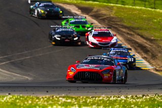 #04 Mercedes-AMG GT3 of George Kurtz and Colin Braun, DXDT Racing, Pro-Am, SRO America, Sonoma Raceway, Sonoma, CA, March 2021 | Fabian Lagunas/SRO