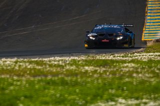 #3 Lamborghini Huracan GT3 of Jordan Pepper and Andrea Caldarelli, K-PAX Racing, Pro, SRO America, Sonoma Raceway, Sonoma, CA, March 2021.  | Fabian Lagunas/SRO