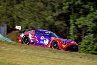 #19 Mercedes-AMG GT3 of Erin Vogel and Michael Cooper, DXDT Racing, Fanatec GT World Challenge America powered by AWS, Pro-Am, SRO America, Virginia International Raceway, Alton, VA, June 2021.
 | Regis Lefebure/SRO