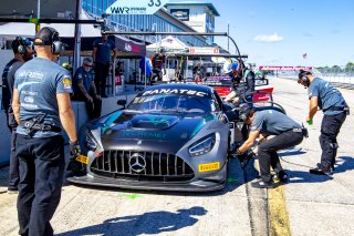 #33 Mercedes-AMG GT3 of Russell Ward and Mikael Grenier, Winward Racing, Fanatec GT World Challenge America powered by AWS, Pro, SRO America, Sebring International Raceway, Sebring, FL, September 2021.
 | Brian Cleary/SRO