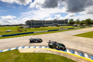#33 Mercedes-AMG GT3 of Russell Ward and Mikael Grenier, Winward Racing, Fanatec GT World Challenge America powered by AWS, Pro, SRO America, Sebring International Raceway, Sebring, FL, September 2021.
 | Regis Lefebure/SRO