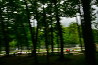 #43 Acura NSX GT3 of Erin Vogel and Michael Cooper, RealTime Racing, GT World Challenge America, Pro-Am, SRO America, Road America, Elkhart Lake, Wisconsin, August 2022.
 | Fred Hardy | SRO