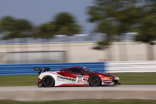 #23 Ferrari 488 GT3 of Onofrio Triarsi and Charlie Scardina, Triari Competizione, GT World Challenge America, Am, SRO America, Sebring Int&rsquo;l Raceway, Sebring Florida, September 2022
 | Regis Lefebure/SRO