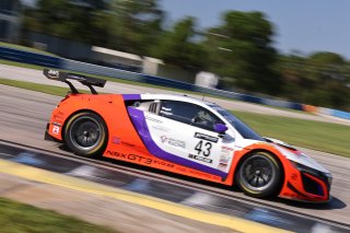 #43 Acura NSX GT3 of Erin Vogel and Michael Cooper, RealTime Racing, GT World Challenge America, Pro-Am, SRO America, Sebring Int&rsquo;l Raceway, Sebring Florida, September 2022
 | Regis Lefebure/SRO