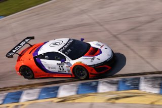 #43 Acura NSX GT3 of Erin Vogel and Michael Cooper, RealTime Racing, GT World Challenge America, Pro-Am, SRO America, Sebring Int&rsquo;l Raceway, Sebring Florida, September 2022
 | Regis Lefebure/SRO