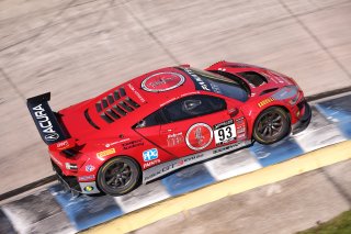 #93 Acura NSX GT3 of Ashton Harrison and Mario Farnbacher, Racers Edge Motorsports, GT World Challenge America, Pro-Am, SRO America, Sebring Int&rsquo;l Raceway, Sebring Florida, September 2022
 | Regis Lefebure/SRO