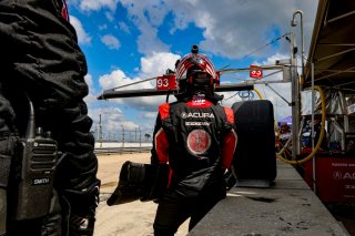 #93 Acura NSX GT3 of Ashton Harrison and Mario Farnbacher, Racers Edge Motorsports, GT World Challenge America, Pro-Am, SRO America, Sebring Int&rsquo;l Raceway, Sebring Florida, September 2022
 | Regis Lefebure/SRO