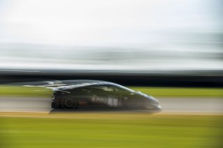 #3 Lamborghini Huracan GT3 of Misha Goikhberg and Jordan Pepper. K-Pax Racing, GT World Challenge America, Pro-Am, SRO America, Sebring International Raceway, Sebring, FL, September 2022.
 | Fabian Lagunas/SRO