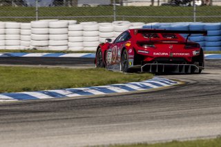 #93 Acura NSX GT3 of Ashton Harrison and Mario Farnbacher, Racers Edge Motorsports, GT World Challenge America, Pro-Am, SRO America, Sebring International Raceway, Sebring, FL, September 2022.
 | Fabian Lagunas/SRO