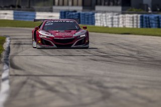 #93 Acura NSX GT3 of Ashton Harrison and Mario Farnbacher, Racers Edge Motorsports, GT World Challenge America, Pro-Am, SRO America, Sebring International Raceway, Sebring, FL, September 2022.
 | Fabian Lagunas/SRO