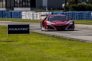 #93 Acura NSX GT3 of Ashton Harrison and Mario Farnbacher, Racers Edge Motorsports, GT World Challenge America, Pro-Am, SRO America, Sebring International Raceway, Sebring, FL, September 2022.
 | Fabian Lagunas/SRO