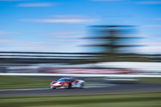 #23 Ferrari 488 GT3 of Onofrio TriarsiIndy 8 Hours, Intercontinental GT Challenge, Indianapolis Motor Speedway, Indianapolis, Indiana, Oct 2022.
 | Fabian Lagunas/SRO        