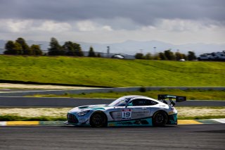 #19 Mercedes-AMG GT3 of Will Hardeman and Adam Carroll, April 2023., CA, Esses Racing with Mercedes-Benz of Austin, GT World Challenge America, Pro-Am, SRO America, Sonoma, Sonoma Raceway
 | Fabian Lagunas / SRO