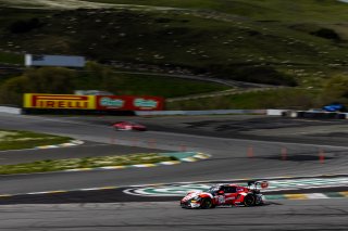 #53 Porsche GT3 992 of Trenton Estep and Seth Lucas, April 2023., CA, GT World Challenge America, MDK Motorsports, Pro, SRO America, Sonoma, Sonoma Raceway
 | Fabian Lagunas / SRO