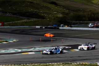 #16 Porsche 911 GT3-R (991.ii) of Pedro Torres and Spencer Pumpelly, ACI Motorsport, April 2023., CA, GT World Challenge America, Pro-Am, SRO America, Sonoma, Sonoma Raceway
 | Fabian Lagunas / SRO